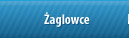�aglowce