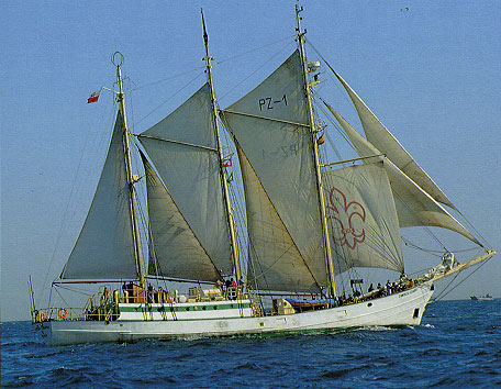 Zawisza Czarny