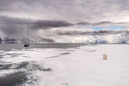Żeglarskie emocje znów w centrum kadru. Trwa XV edycja konkursu Pantaenius Yacht Photo.